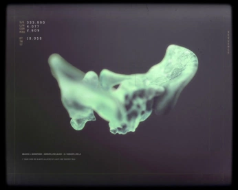 A cover of "skeletal" cluster. The owner is nadhi. The cluster consists of 28 elements.