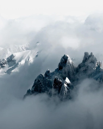 A cover of "Nature" cluster. The owner is lorenzo2912. The cluster consists of 3 elements.