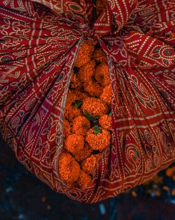 A cover of "Client - Aikyatha" cluster. The owner is sandrafornorm. The cluster consists of 25 elements.