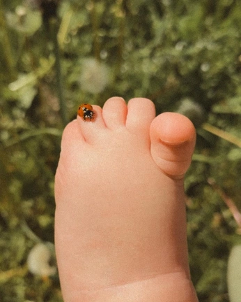 A cover of "photos" cluster. The owner is manamiell. The cluster consists of 2 elements.