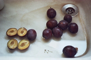 A cover of "animula" cluster. The owner is acme01. The cluster description is "Petite âme, âme tendre et flottante, ". The cluster consists of 208 elements.