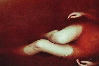 A cover of "pretty sick" cluster. The owner is lambtothe. The cluster description is "one of my fav boards i've done so far". The cluster consists of 32 elements.