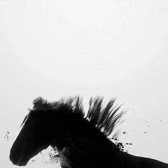 A cover of "design" cluster. The owner is laubluis. The cluster consists of 19 elements.