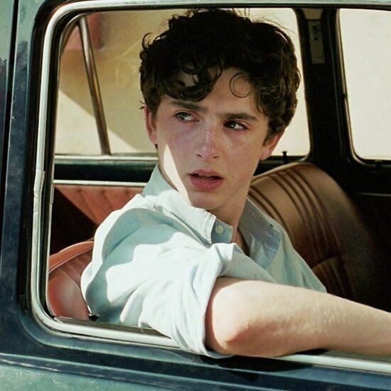 Timothée Chalamet as Elio Perlman in Luca Guadagnino's 2017 film Call Me by Your Name.