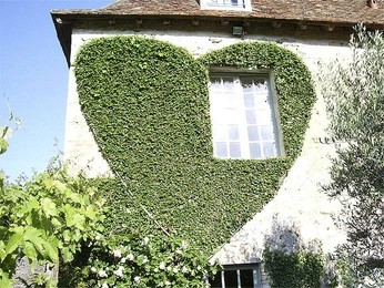 A cover of "Cute" cluster. The owner is laurahoek. The cluster description is "Things that are in send to the 'cute' file in my brain.". The cluster consists of 116 elements.