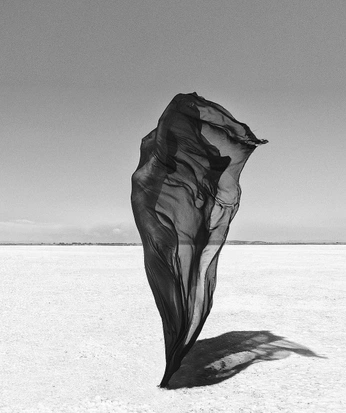 A cover of "fine art portrait" cluster. The owner is seshie. The cluster consists of 39 elements.