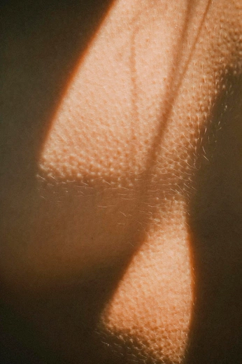 A cover of "texture" cluster. The owner is cristhian25. The cluster consists of 3 elements.