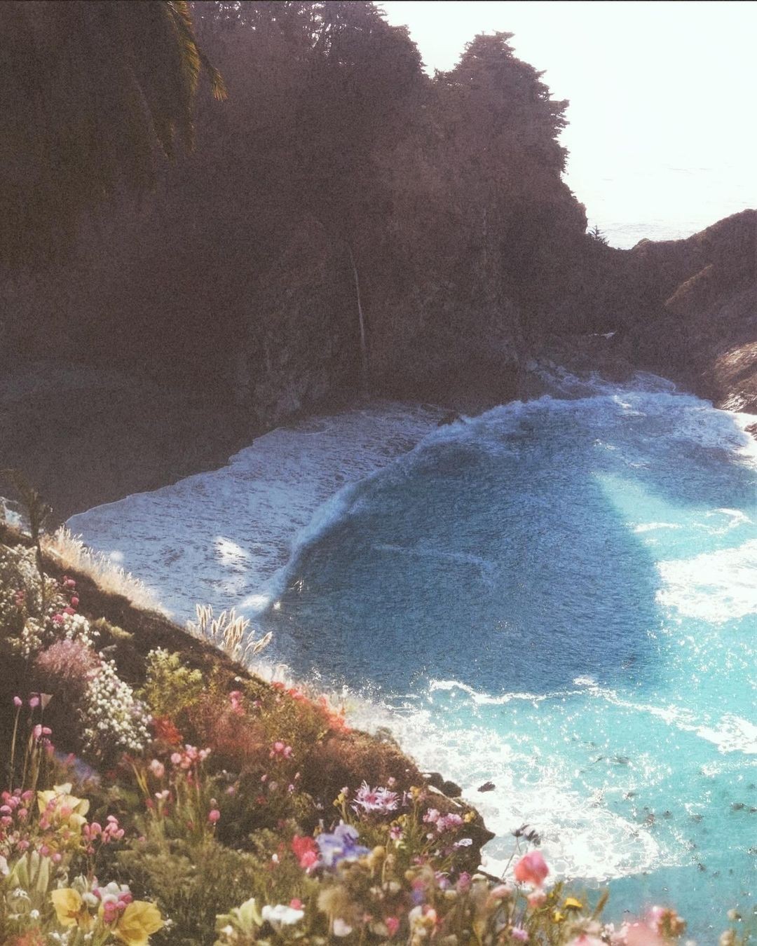 An ocean-inspired digital collage by artist Siobhán Danielle O'Dwyer.