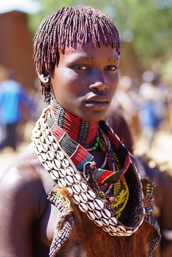 A cover of "Black dandy , african" cluster. The owner is ezaffa. The cluster consists of 24 elements.