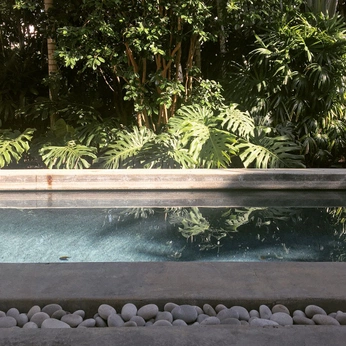 A cover of "Garden" cluster. The owner is petaapril. The cluster consists of 9 elements.