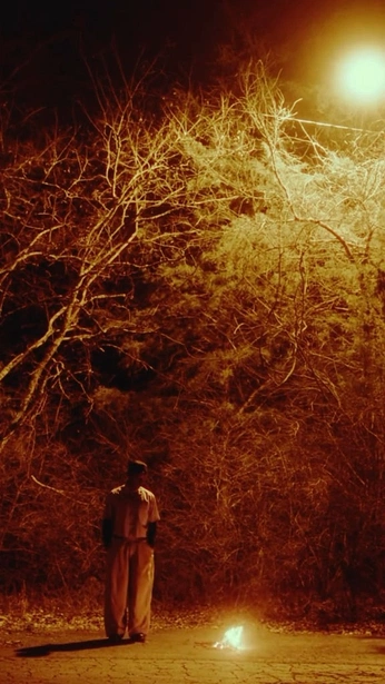 A cover of "Reels" cluster. The owner is josephmorrison. The cluster consists of 1 element.