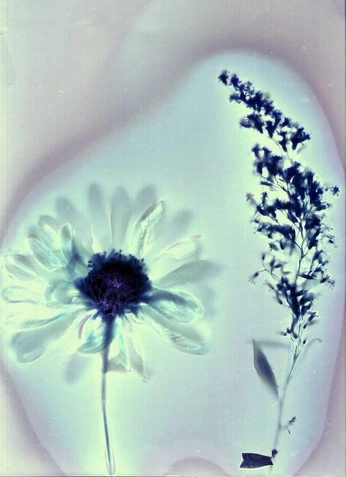 A cover of "Claude" cluster. The owner is jonnyslay. The cluster consists of 15 elements.