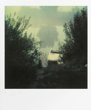 A cover of "spotify / polaroids" cluster. The owner is constanzaaa. The cluster consists of 5 elements.