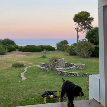 A cover of "vrstl" cluster. The owner is blumen. The cluster consists of 8 elements.