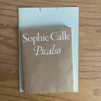 A cover of "insta" cluster. The owner is dbwing. The cluster consists of 3 elements.