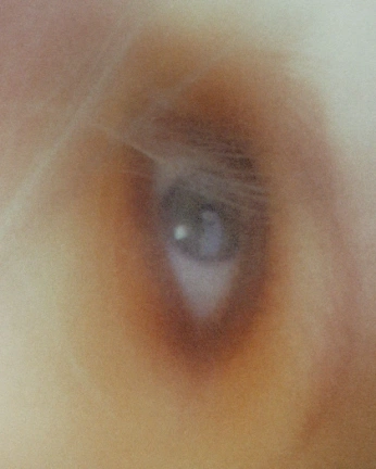 A cover of "Features" cluster. The owner is figbar. The cluster consists of 6 elements.