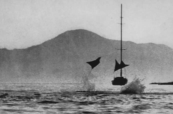 A cover of "Water" cluster. The owner is centuryy. The cluster consists of 61 elements.