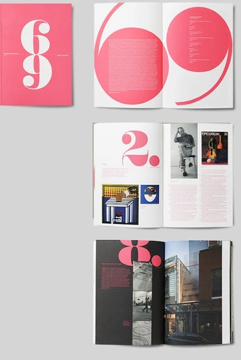 A cover of "portfolio inspo" cluster. The owner is evajoy. The cluster consists of 9 elements.