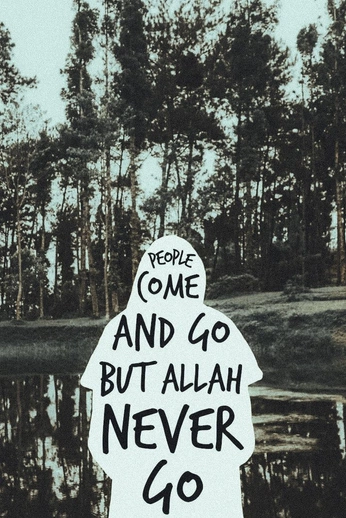 A cover of "pfp" cluster. The owner is wisl7. The cluster consists of 6 elements.