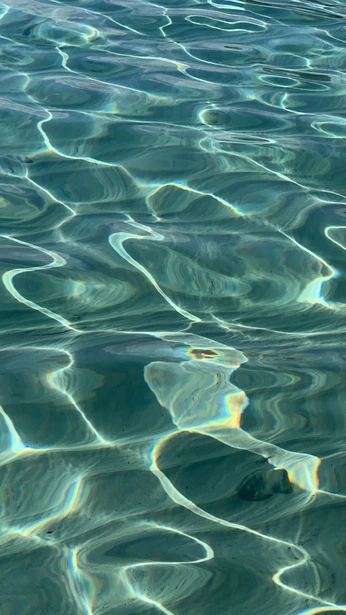 A cover of "art <3" cluster. The owner is penguine. The cluster consists of 100 elements.