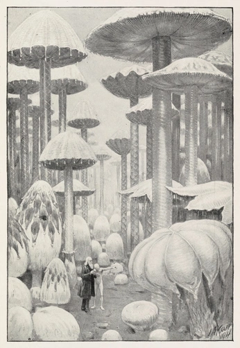 A cover of "Herb Craft instagram" cluster. The owner is juliastarowicz. The cluster consists of 36 elements.