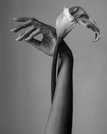 A cover of "Beauty" cluster. The owner is ariadesigns. The cluster consists of 5 elements.