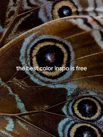 A cover of "farver" cluster. The owner is ladybugworld. The cluster consists of 1 element.