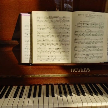 A cover of "Music" cluster. The owner is aestheticrequiem. The cluster consists of 5 elements.