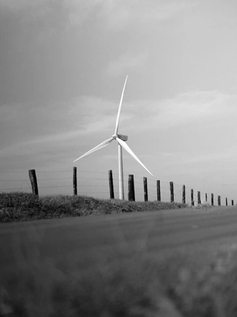 A cover of "onenesst" cluster. The owner is valentinedreyfus. The cluster consists of 24 elements.