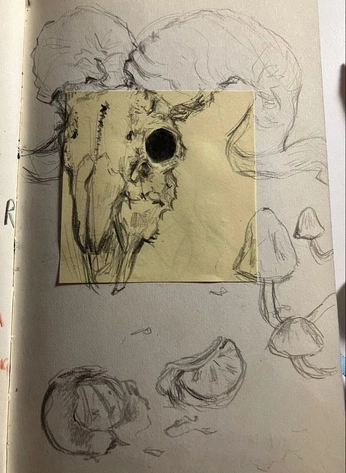 A cover of "Sketches" cluster. The owner is amateurhr.dsgns. The cluster consists of 10 elements.