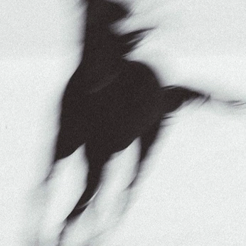 A cover of "celestial" cluster. The owner is jasminboserup. The cluster consists of 34 elements.