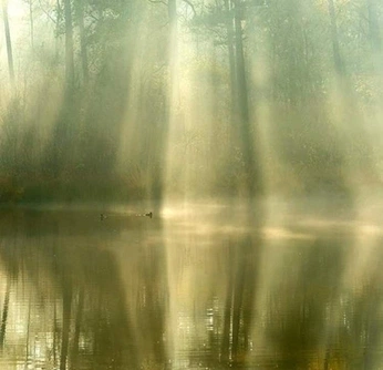 A cover of "Komorebi" cluster. The owner is maxim. The cluster consists of 20 elements.