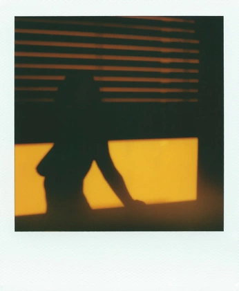 A cover of "Danni" cluster. The owner is boltn. The cluster consists of 5 elements.