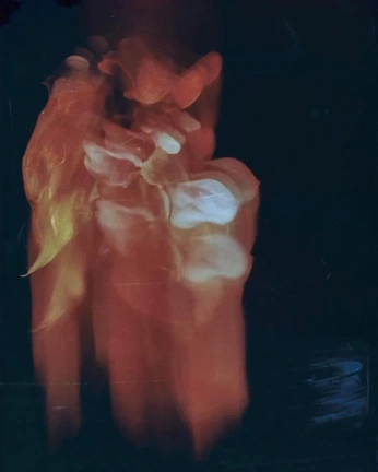 A cover of "Fall" cluster. The owner is sofia.oliveros. The cluster consists of 6 elements.