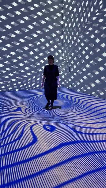 A cover of "EXP Physical Interaction" cluster. The owner is jpelasio. The cluster consists of 6 elements.