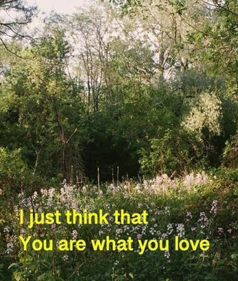 A cover of "quotes" cluster. The owner is flisa. The cluster consists of 2 elements.