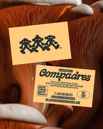 A cover of "Comida Inspo" cluster. The owner is hectornaste. The cluster consists of 34 elements.