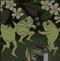 Cover of frogs! ♡ cluster