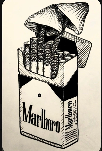 A cover of "mushrooms" cluster. The owner is crispywizard. The cluster consists of 6 elements.