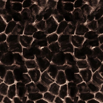 A cover of "background" cluster. The owner is seska. The cluster consists of 139 elements.