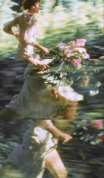 A cover of "Motion" cluster. The owner is ntate. The cluster consists of 1 element.