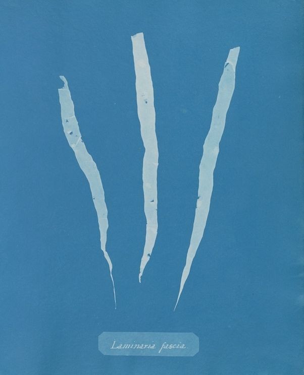 An Instagram carousel post added by ch1p666 on Mar 17, 2025. The author is @publicdomainrev.