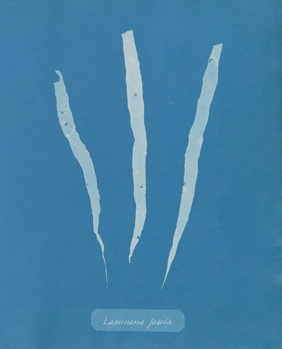 An Instagram carousel post added by ch1p666 on Mar 17, 2025. The author is @publicdomainrev.