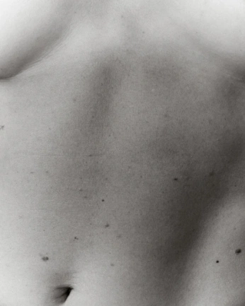 A cover of "The body" cluster. The owner is gauthphotos. The cluster consists of 24 elements.