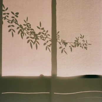 A cover of "Heima" cluster. The owner is xerophile. The cluster consists of 118 elements.