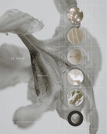 A cover of "nord" cluster. The owner is smilgyte. The cluster consists of 125 elements.