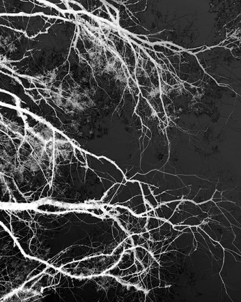 A cover of "Festival Bassin" cluster. The owner is byyyae. The cluster consists of 17 elements.