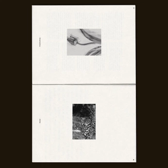 A cover of "zine x" cluster. The owner is vanessalobato. The cluster consists of 5 elements.