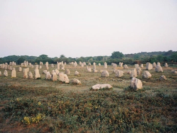 A cover of "solitude" cluster. The owner is wontonsoup. The cluster consists of 11 elements.