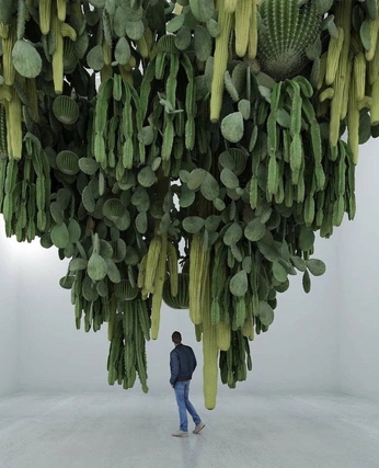 A cover of "plants" cluster. The owner is puppybear. The cluster consists of 13 elements.